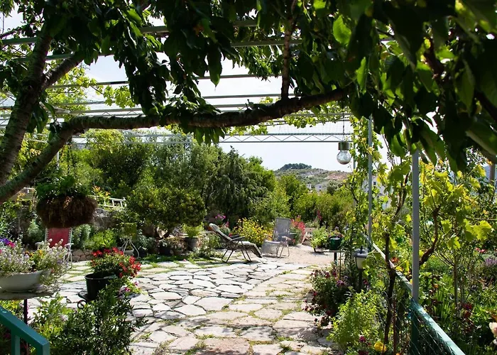 Summerhouse Marina